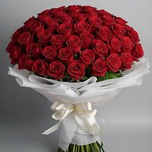 Букет 101 Красная роза Блэк Мэджик в Львовском