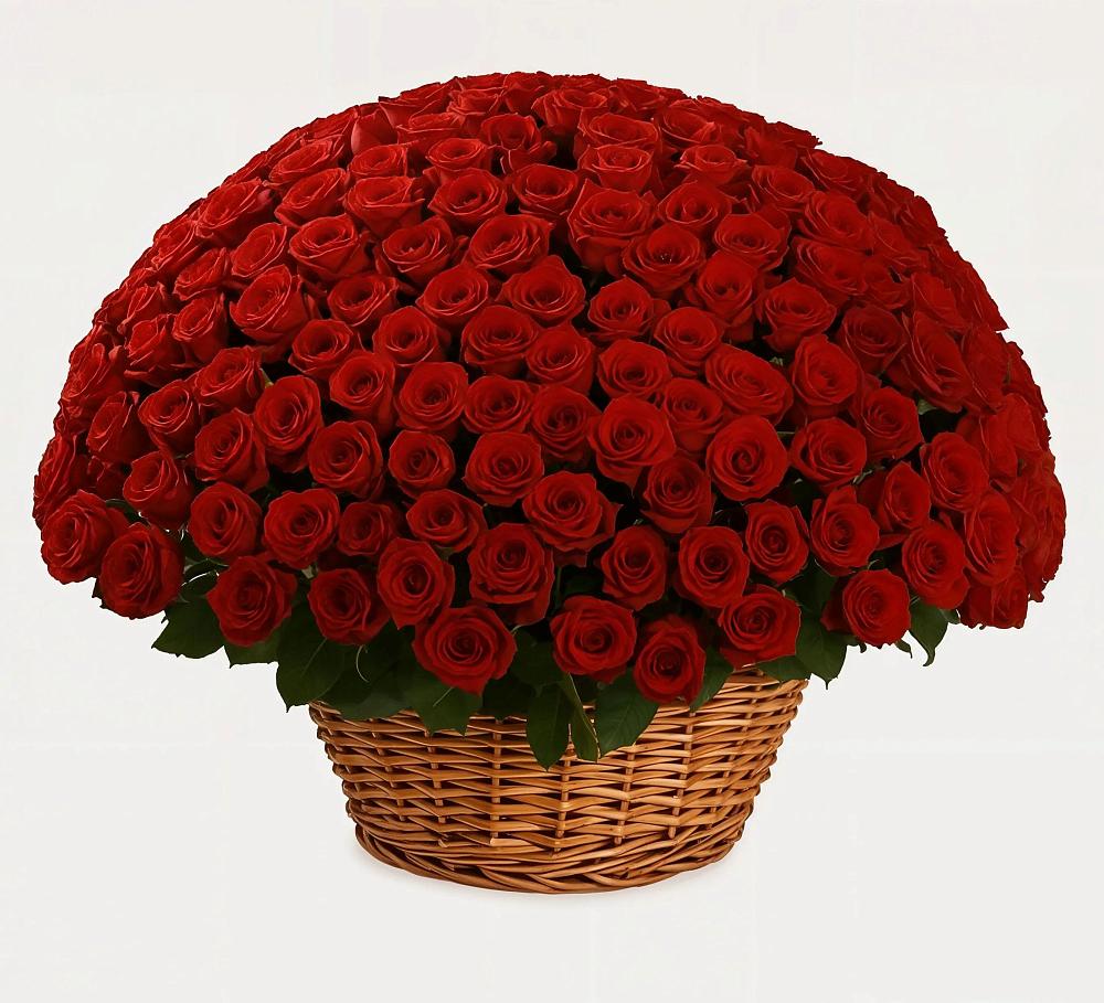 Премиум букет из: Розы в Львовском