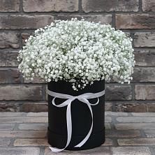 Цветочная композиция из Гипсофила в шляпной коробке в Львовском
