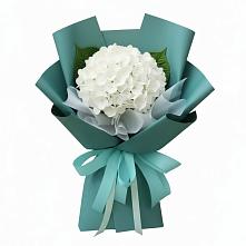 Букет цветов из:  Гортензия #REPLACE_PRED# Львовском